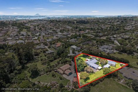 Photo of property in 91a Boscabel Drive, Ohauiti, Tauranga, 3112