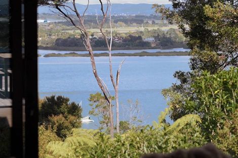 Photo of property in 17 Chatham Avenue, Paremoremo, Auckland, 0632