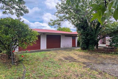 Photo of property in 21 Taverner Street, Carterton, 5713