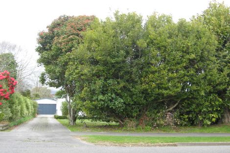 Photo of property in 104 Weraroa Road, Levin, 5510