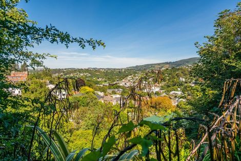 Photo of property in 12 Montrose Street, North East Valley, Dunedin, 9010