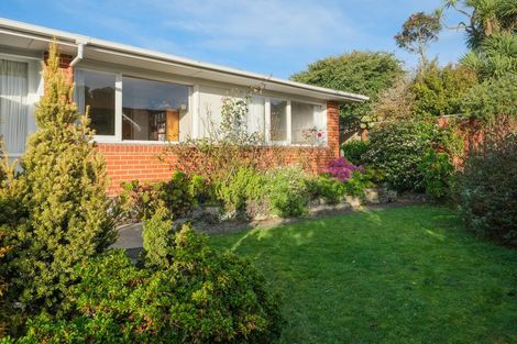 Photo of property in 59 Mailer Street, Mornington, Dunedin, 9011