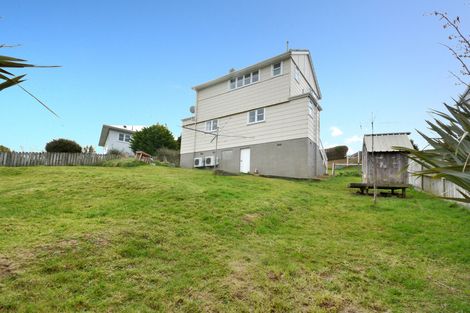 Photo of property in 46 Panmure Avenue, Calton Hill, Dunedin, 9012