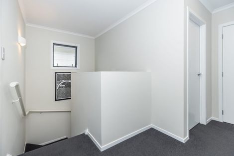 Photo of property in 61 Tennille Street, Flagstaff, Hamilton, 3210