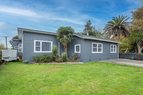 Photo of property in 67 Macarthur Street, Levin, 5510