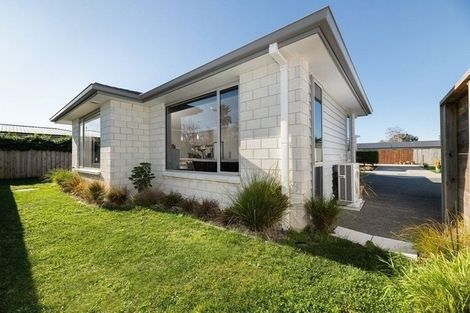 Photo of property in 50c Sixteenth Avenue, Tauranga South, Tauranga, 3112