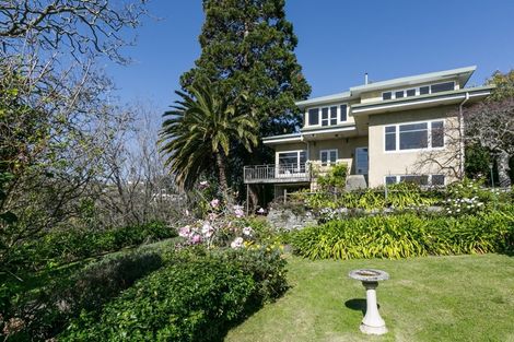Photo of property in 19 Coleman Terrace, Hospital Hill, Napier, 4110
