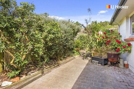 Photo of property in 15 Luke Street, Ocean Grove, Dunedin, 9013