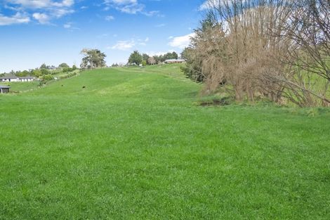 Photo of property in 17c Teal Avenue, Feilding, 4775