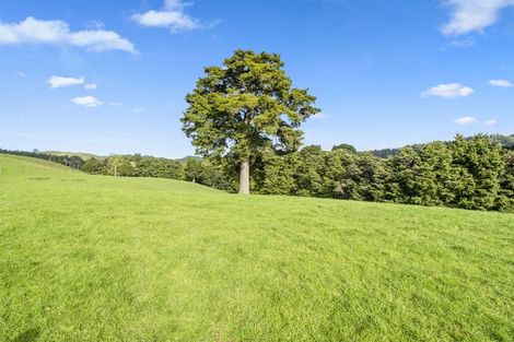 Photo of property in 216 Haruru Road, Kaukapakapa, 0873