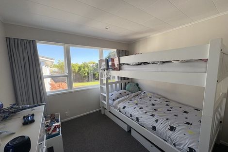 Photo of property in 24 Christie Crescent, Havelock North, 4130