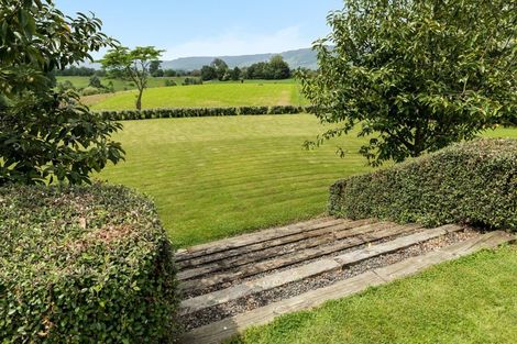 Photo of property in 67 Mcnab Road, Te Poi, Matamata, 3473