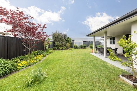 Photo of property in 3 Percy Berry Place, Havelock North, 4130