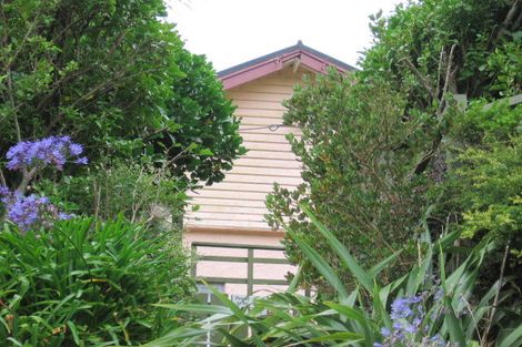 Photo of property in 11 Cheesman Street, Brooklyn, Wellington, 6021