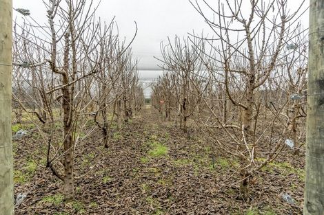 Photo of property in 101 Richards Beach Road, Cromwell, 9384