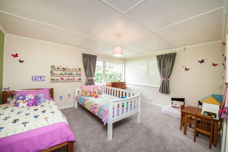 Photo of property in 577 Featherston Street, Roslyn, Palmerston North, 4414