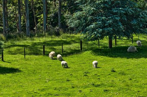 Photo of property in 92 Kaitawa Road, Hautere, Otaki, 5582