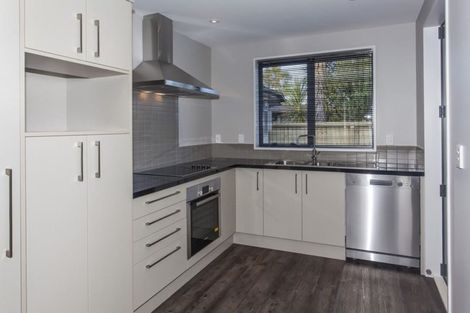 Photo of property in 2/66 Packe Street, Edgeware, Christchurch, 8013