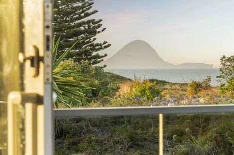 Photo of property in 344a Ocean Road, Ohope, 3121