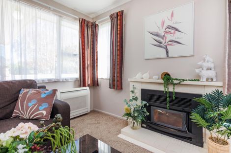 Photo of property in 19 Piper Place, Roslyn, Palmerston North, 4414