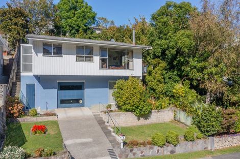 Photo of property in 71 Faraday Street, Hospital Hill, Napier, 4110