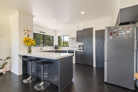 Photo of property in 227 Tipapakuku Road, Dannevirke, 4930