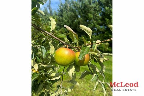 Photo of property in 1742 Grahams Road, Eiffelton, Ashburton, 7774