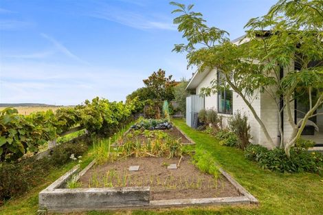 Photo of property in 16 Sutherland Drive, Kaiapoi, 7630