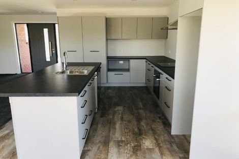 Photo of property in 156a Mcmurdo Street, Tinwald, Ashburton, 7700