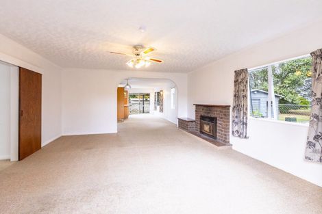 Photo of property in 38 Francis Drake Street, Waipukurau, 4200