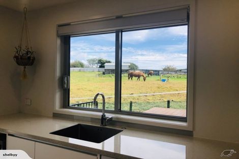 Photo of property in 8 Jersey Place, Bell Block, New Plymouth, 4312