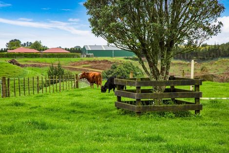 Photo of property in 569 Smart Road, Hillsborough, New Plymouth, 4372