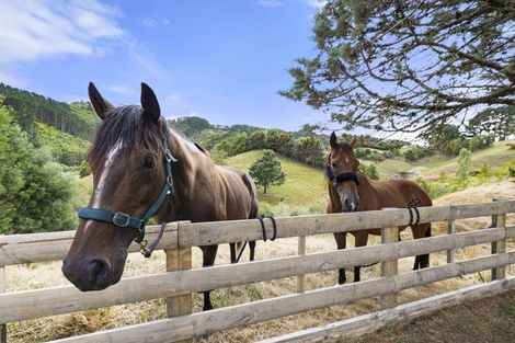 Photo of property in 1007 Old Mountain Road, Waitetuna, Raglan, 3295