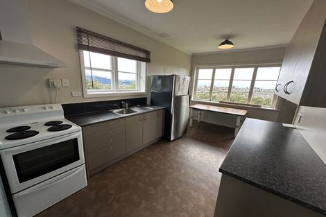 Photo of property in 42 Greenhill Avenue, Wakari, Dunedin, 9010