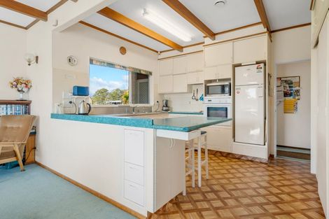 Photo of property in 237 Te Whiti Road, Homebush, Masterton, 5885