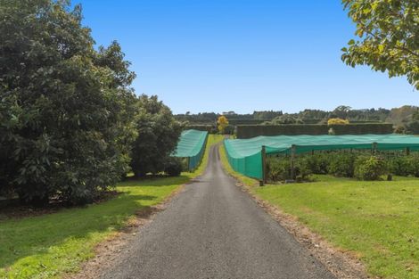 Photo of property in 127 Armstrong Road, Te Puna, Tauranga, 3174