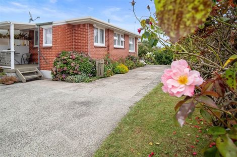 Photo of property in 141 Tirau Street, Putaruru, 3411