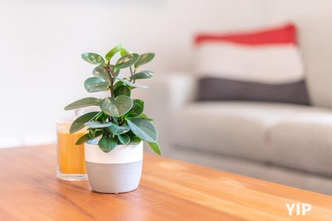 Photo of property in 8 Cunliffe Street, Johnsonville, Wellington, 6037