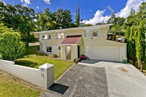 Photo of property in 73 Ayton Drive, Totara Vale, Auckland, 0629