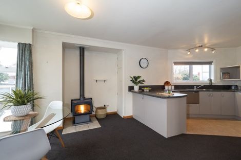 Photo of property in 18 Connor Place, Netherby, Ashburton, 7700