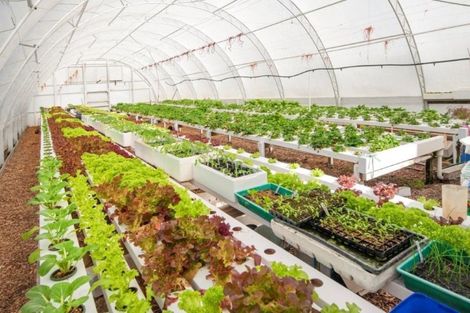 Photo of property in 12/14 Anson Street, Kirwee, Darfield, 7571