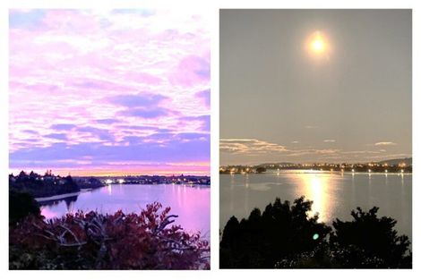 Photo of property in 49 Baycroft Avenue, Parkvale, Tauranga, 3112