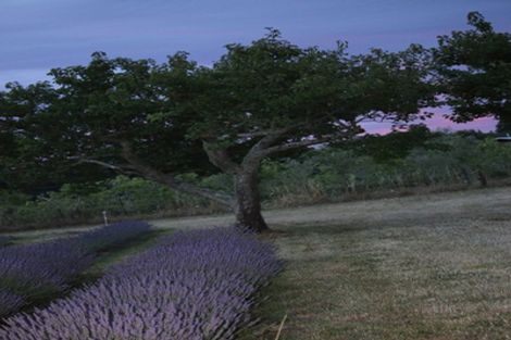 Photo of property in 11 Mount Heslington Road, Brightwater, 7091