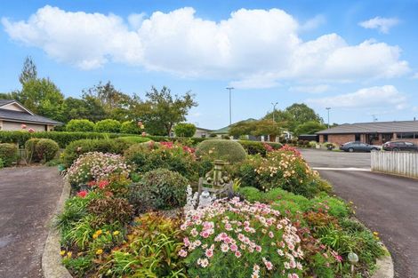 Photo of property in 19 Kauri Place, Pahiatua, 4910