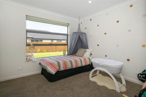 Photo of property in 19 Maeburn Street, Witherlea, Blenheim, 7201