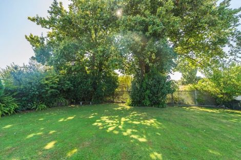 Photo of property in 33 Kawakawa Street, Whanganui East, Whanganui, 4500