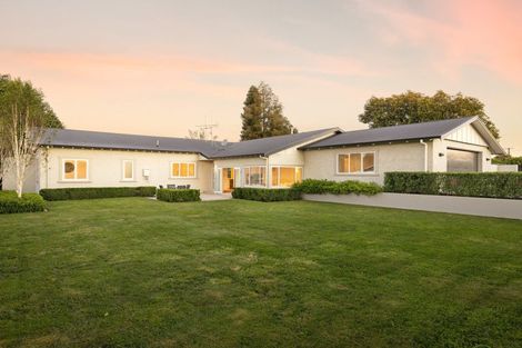 Photo of property in 19a Brookfield Street, Hamilton East, Hamilton, 3216