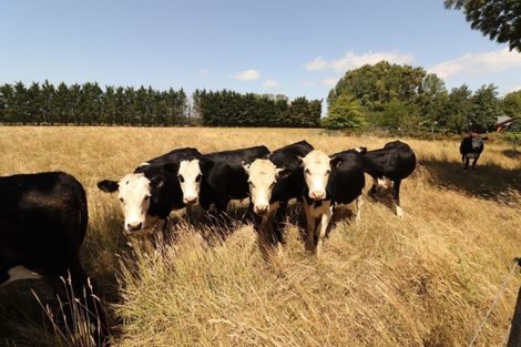 Photo of property in 612 Lower Sefton Road, Sefton, Rangiora, 7477