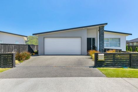 Photo of property in 112 John Burke Drive, Aotea, Porirua, 5024