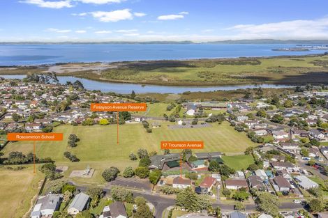 Photo of property in 17 Trounson Avenue, Clendon Park, Auckland, 2103